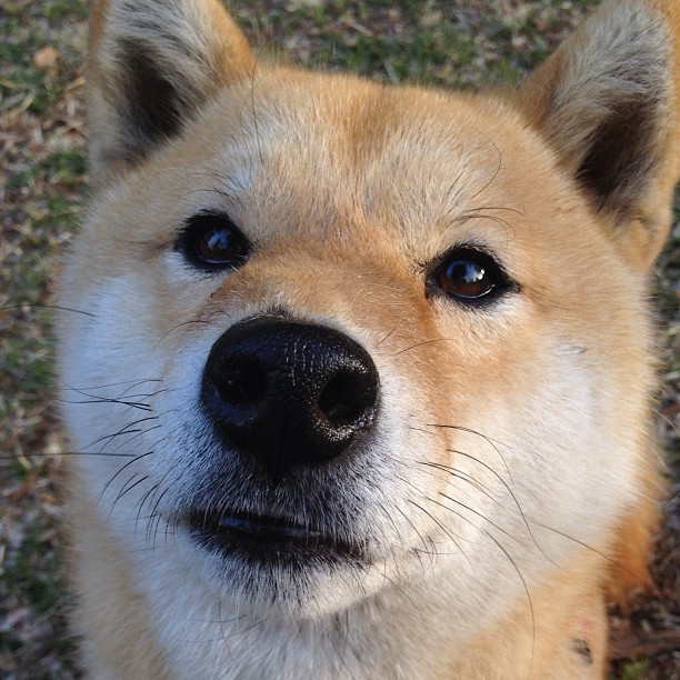 基于大数据的青少年篮球人才识别系统正式实施，2021青少年篮球个人赛