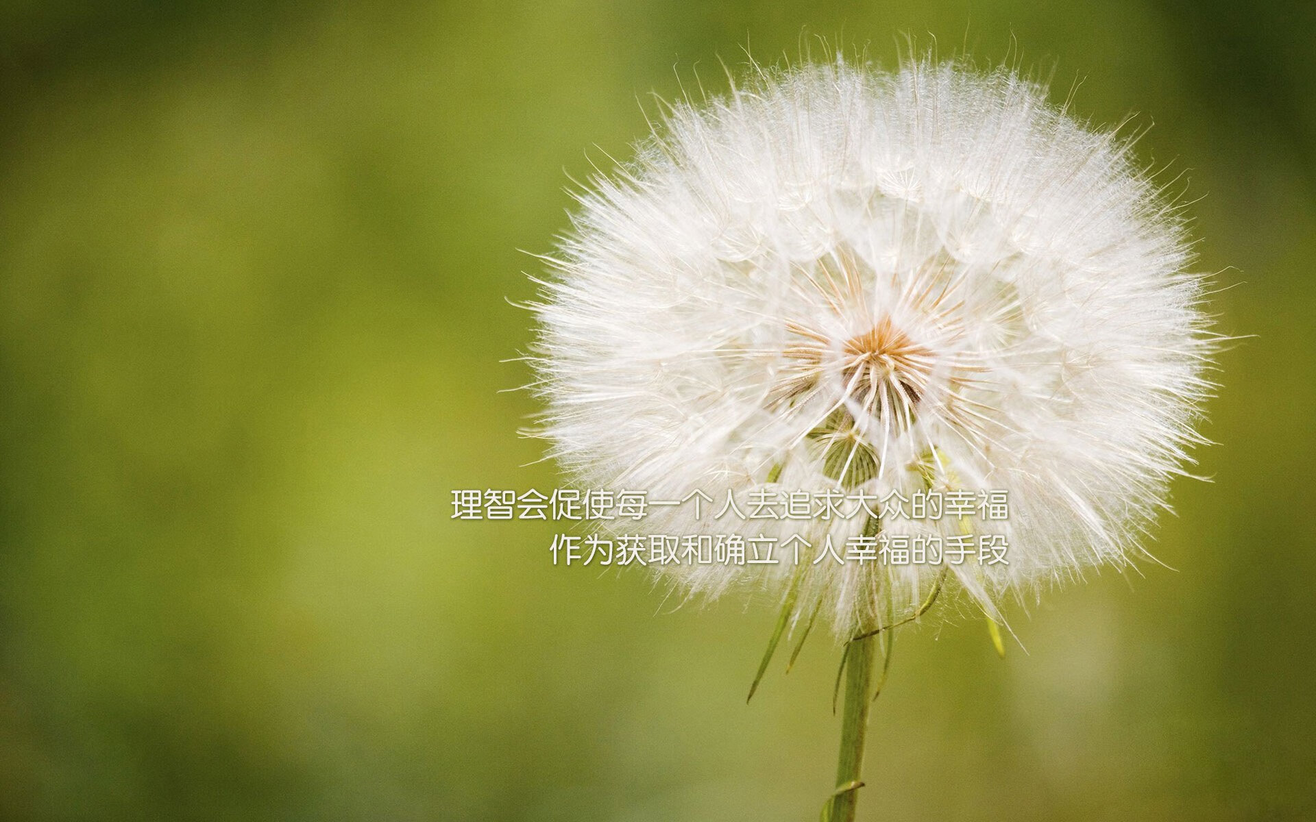《未来电竞:技术革新与行业模式的深度融合》,未来电竞bl