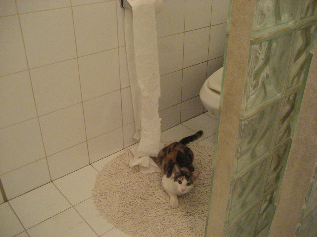 国际青少年足球交流营落地国内，开拓少年的国际视野，青少年足球发展论坛